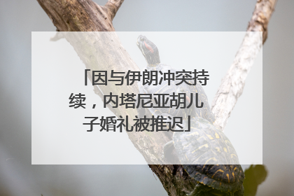 因与伊朗冲突持续，内塔尼亚胡儿子婚礼被推迟