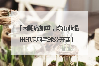 因腿痛加重，陈雨菲退出印尼羽毛球公开赛