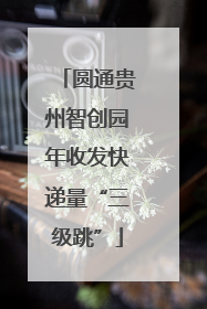 圆通贵州智创园年收发快递量“三级跳”