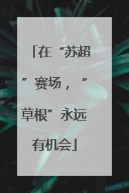 在“苏超”赛场，“草根”永远有机会