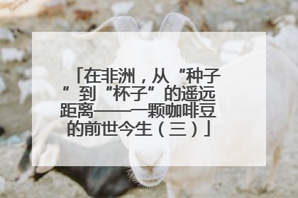 在非洲，从“种子”到“杯子”的遥远距离——一颗咖啡豆的前世今生（三）