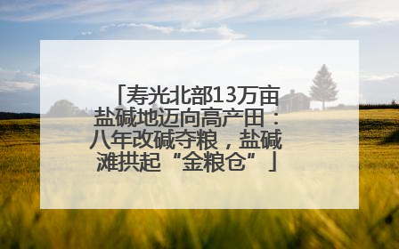 寿光北部13万亩盐碱地迈向高产田：八年改碱夺粮，盐碱滩拱起“金粮仓”