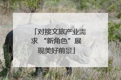 对接文旅产业需求 “新角色”展现美好前景