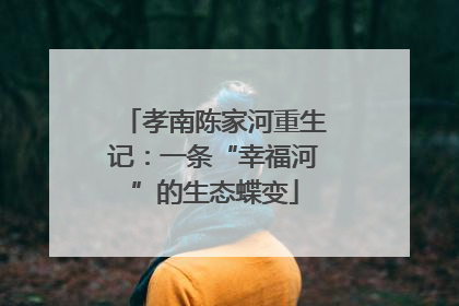 孝南陈家河重生记：一条“幸福河”的生态蝶变