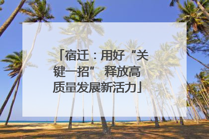 宿迁：用好“关键一招” 释放高质量发展新活力