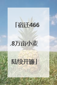 宿迁466.8万亩小麦陆续开镰