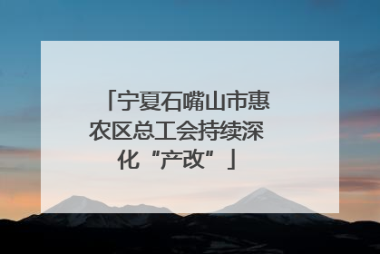 宁夏石嘴山市惠农区总工会持续深化“产改”