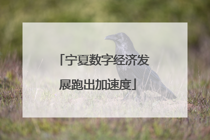 宁夏数字经济发展跑出加速度