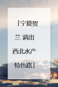 宁夏贺兰 淌出西北水产特色路