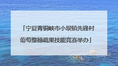 宁夏青铜峡市小坝镇先锋村葡萄整穗疏果技能竞赛举办