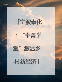宁波奉化：“奉菁学堂”激活乡村新经济