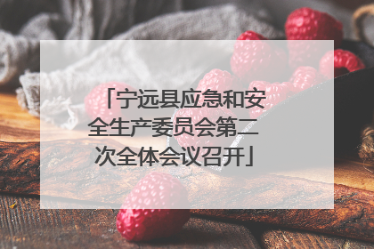 宁远县应急和安全生产委员会第二次全体会议召开