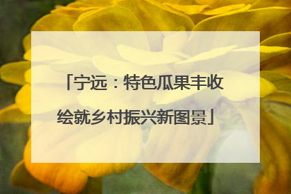 宁远：特色瓜果丰收绘就乡村振兴新图景