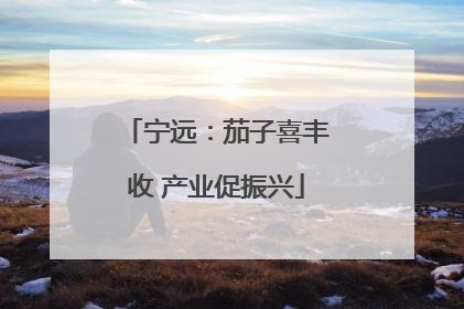 宁远：茄子喜丰收 产业促振兴