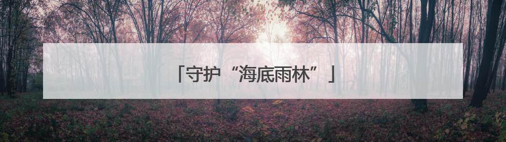守护“海底雨林”