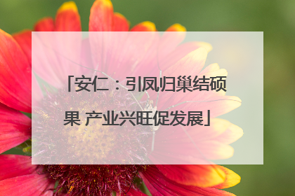 安仁：引凤归巢结硕果 产业兴旺促发展