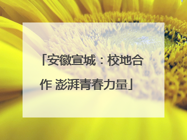 安徽宣城：校地合作 澎湃青春力量