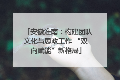安徽淮南：构建团队文化与思政工作 “双向赋能”新格局
