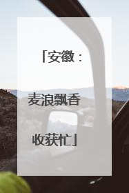 安徽：麦浪飘香收获忙