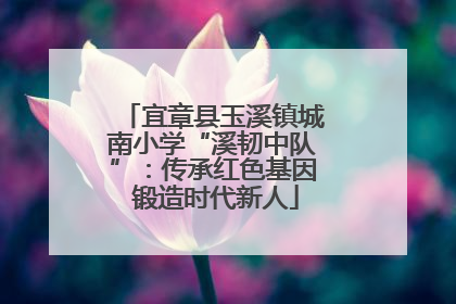 宜章县玉溪镇城南小学“溪韧中队”：传承红色基因 锻造时代新人