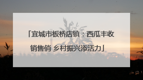 宜城市板桥店镇：西瓜丰收销售俏 乡村振兴添活力