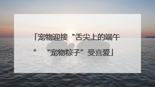 宠物迎接“舌尖上的端午” “宠物粽子”受喜爱