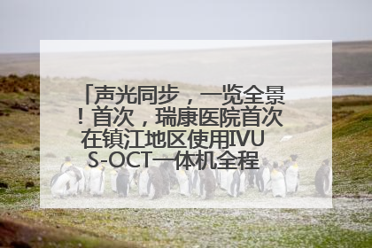 声光同步，一览全景！首次，瑞康医院首次在镇江地区使用IVUS-OCT一体机全程指导冠脉介入手术