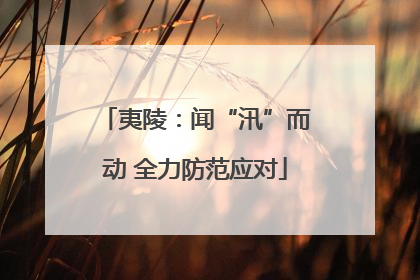 夷陵：闻“汛”而动 全力防范应对
