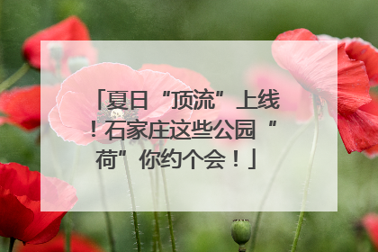 夏日“顶流”上线！石家庄这些公园“荷”你约个会！