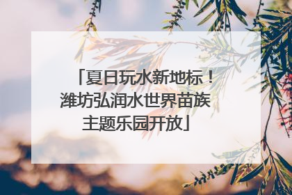 夏日玩水新地标！潍坊弘润水世界苗族主题乐园开放