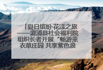 夏日缤纷·花漾之旅——溆浦县社会福利院组织长者开展“畅游薰衣草庄园 共享紫色浪漫”户外活动