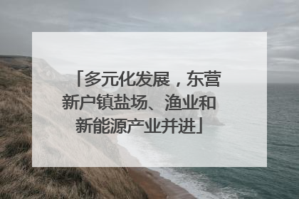 多元化发展，东营新户镇盐场、渔业和新能源产业并进