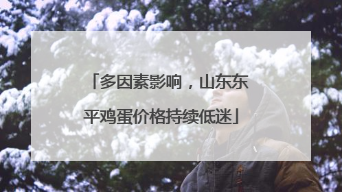 多因素影响，山东东平鸡蛋价格持续低迷