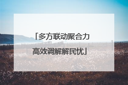 多方联动聚合力 高效调解解民忧