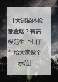 大熊猫体检都查啥？有请模范生“七仔”给大家做个示范