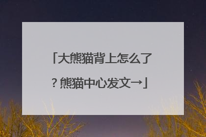 大熊猫背上怎么了？熊猫中心发文→