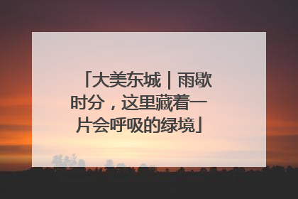 大美东城｜雨歇时分，这里藏着一片会呼吸的绿境
