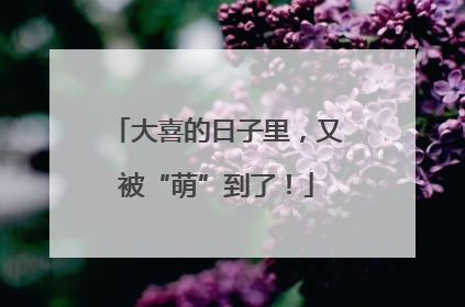 大喜的日子里，又被“萌”到了！