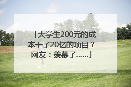 大学生200元的成本干了20亿的项目？网友：羡慕了……