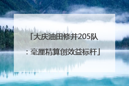 大庆油田修井205队：毫厘精算创效益标杆