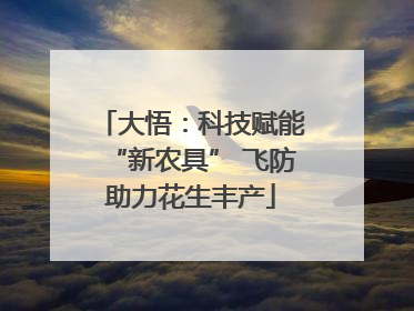 大悟：科技赋能“新农具” 飞防助力花生丰产