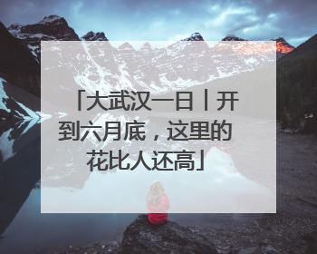大武汉一日︱开到六月底，这里的花比人还高