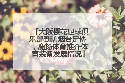 大阪樱花足球俱乐部到访烟台足协，鹿扬体育推介体育装备发展情况