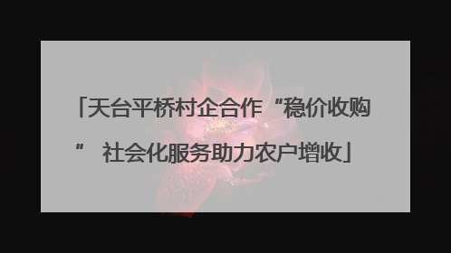 天台平桥村企合作“稳价收购” 社会化服务助力农户增收