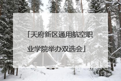 天府新区通用航空职业学院举办双选会