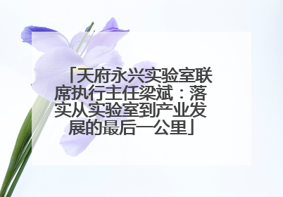 天府永兴实验室联席执行主任梁斌：落实从实验室到产业发展的最后一公里