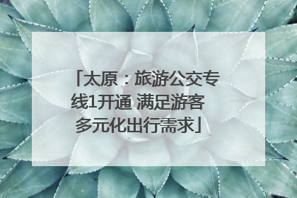太原：旅游公交专线1开通 满足游客多元化出行需求