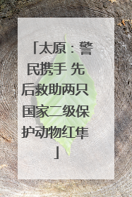 太原：警民携手 先后救助两只国家二级保护动物红隼