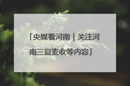 央媒看河南｜关注河南三夏麦收等内容