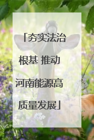 夯实法治根基 推动河南能源高质量发展